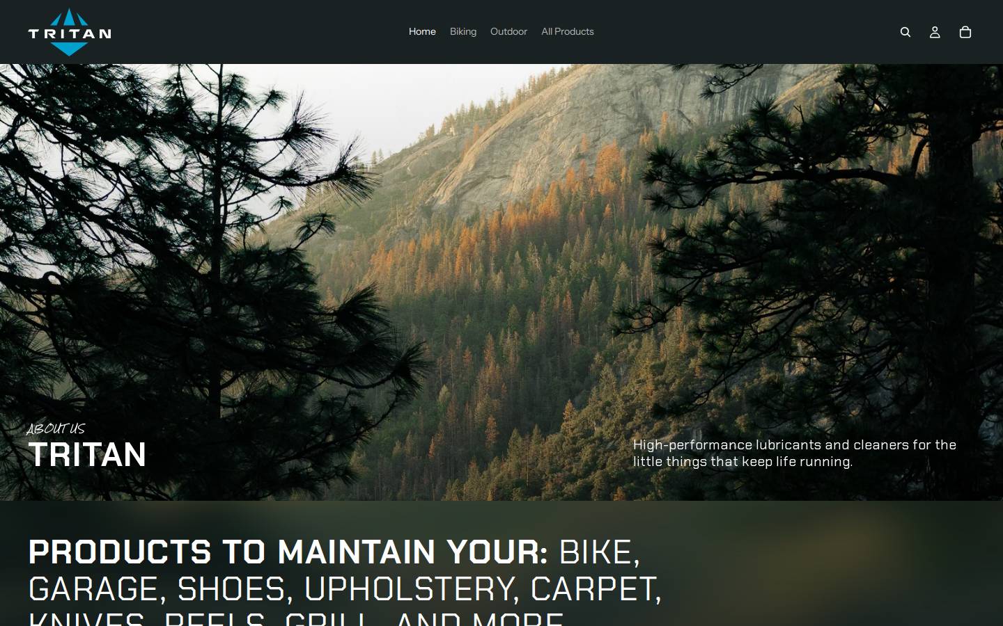 tritancorp.com homepage screenshot