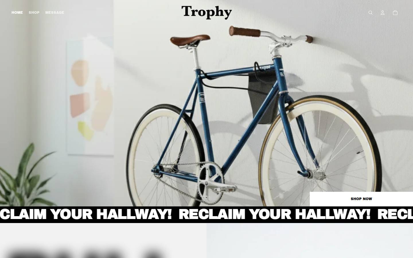trophybikeracks.com homepage screenshot