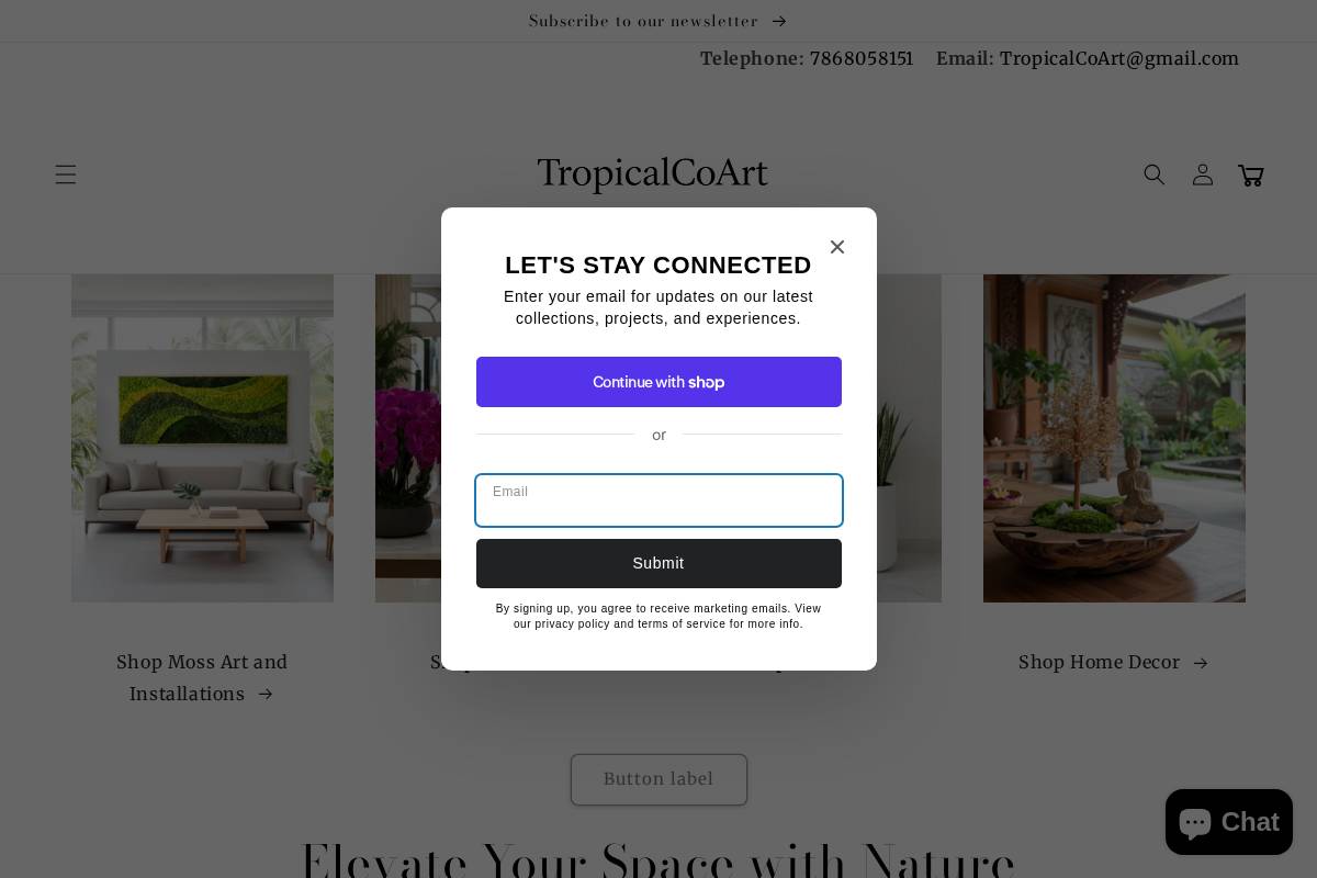 tropicalcoart.com homepage screenshot