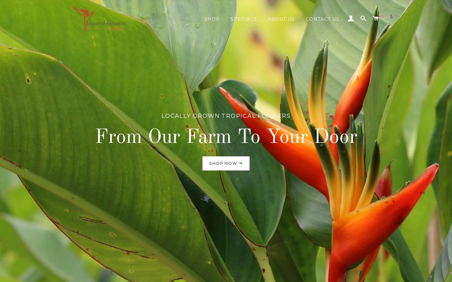 tropicalflowerexpress.com homepage screenshot
