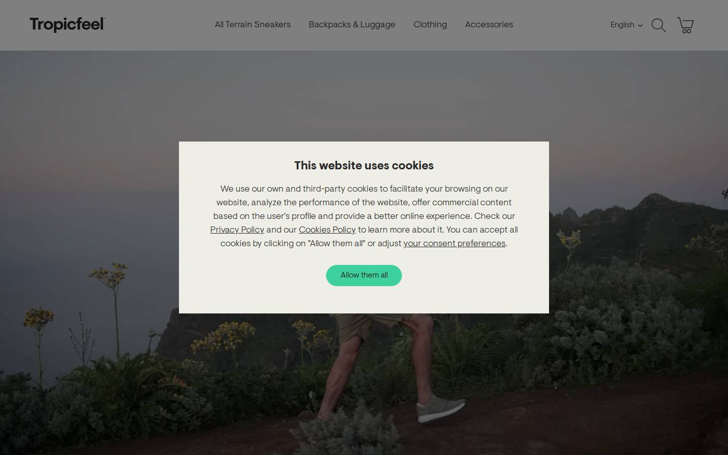 tropicfeelsa.com homepage screenshot