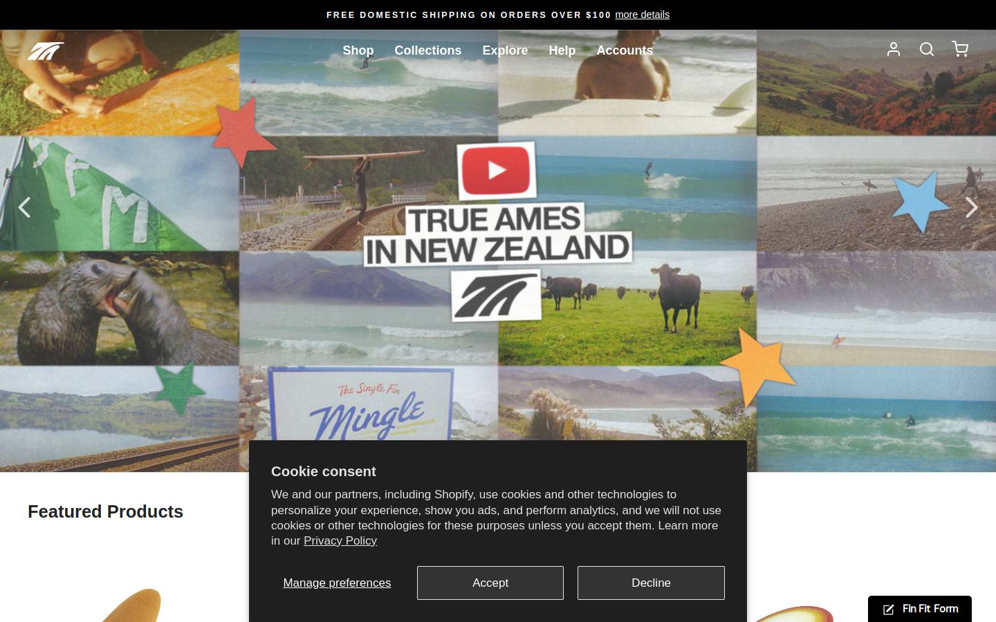 True Ames Fins homepage screenshot
