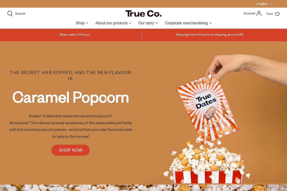 truecompany.com homepage screenshot