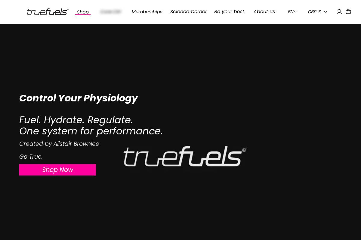 truefuels.com homepage screenshot