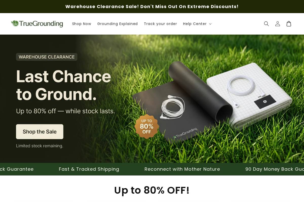 Truegrounding homepage screenshot