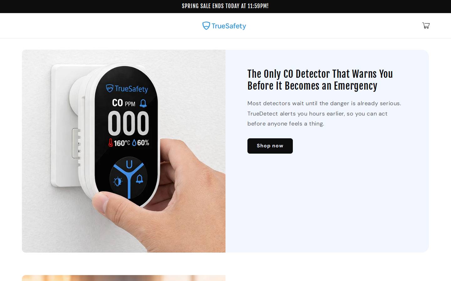 Truesafety homepage screenshot