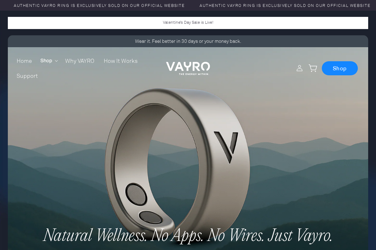 Try Vayro homepage screenshot