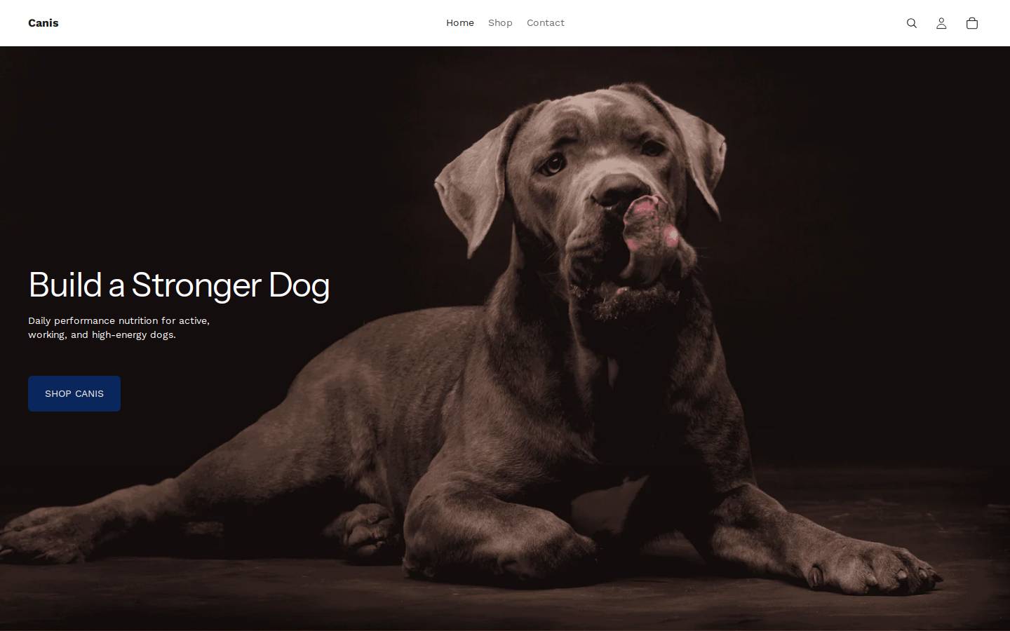 trycanis.com homepage screenshot