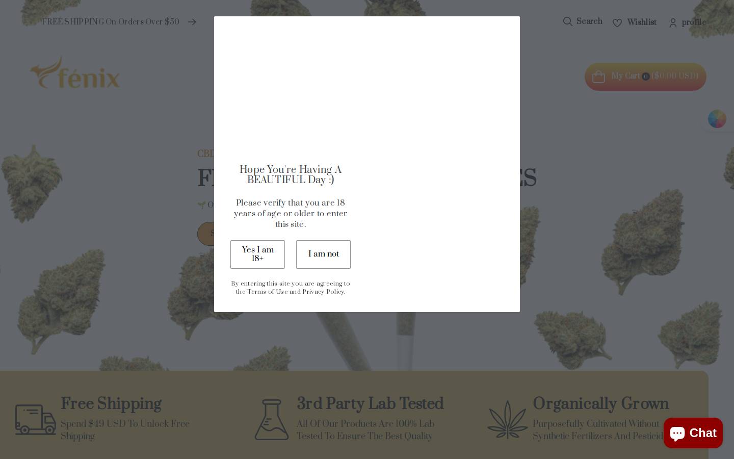 tryfenix.com homepage screenshot