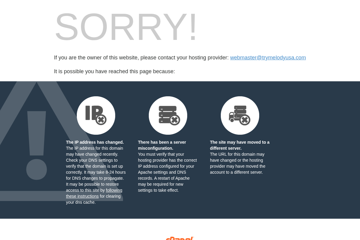 trymelodyusa.com homepage screenshot