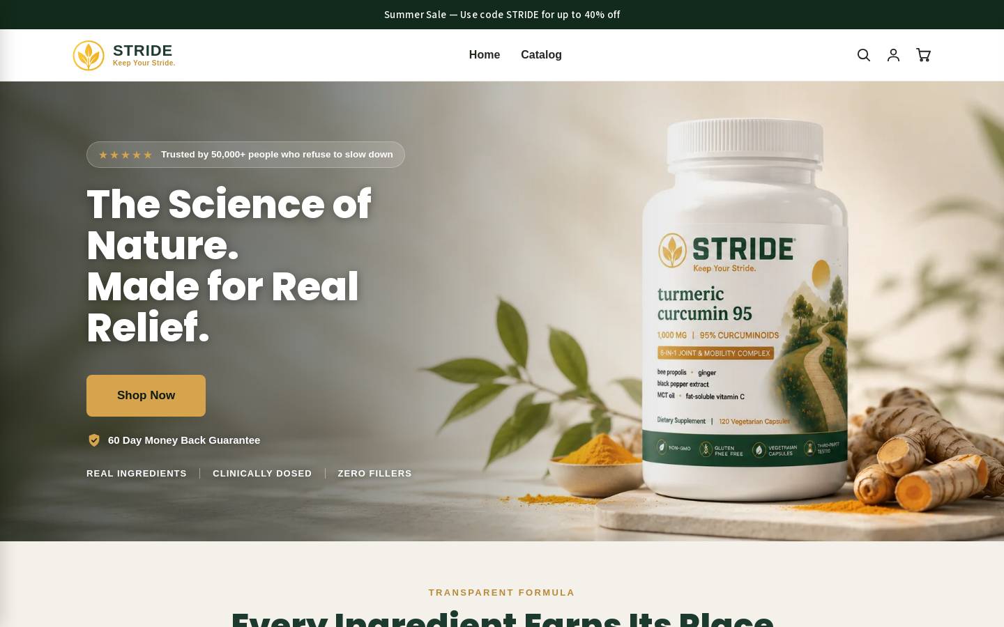 trystridenow.com homepage screenshot