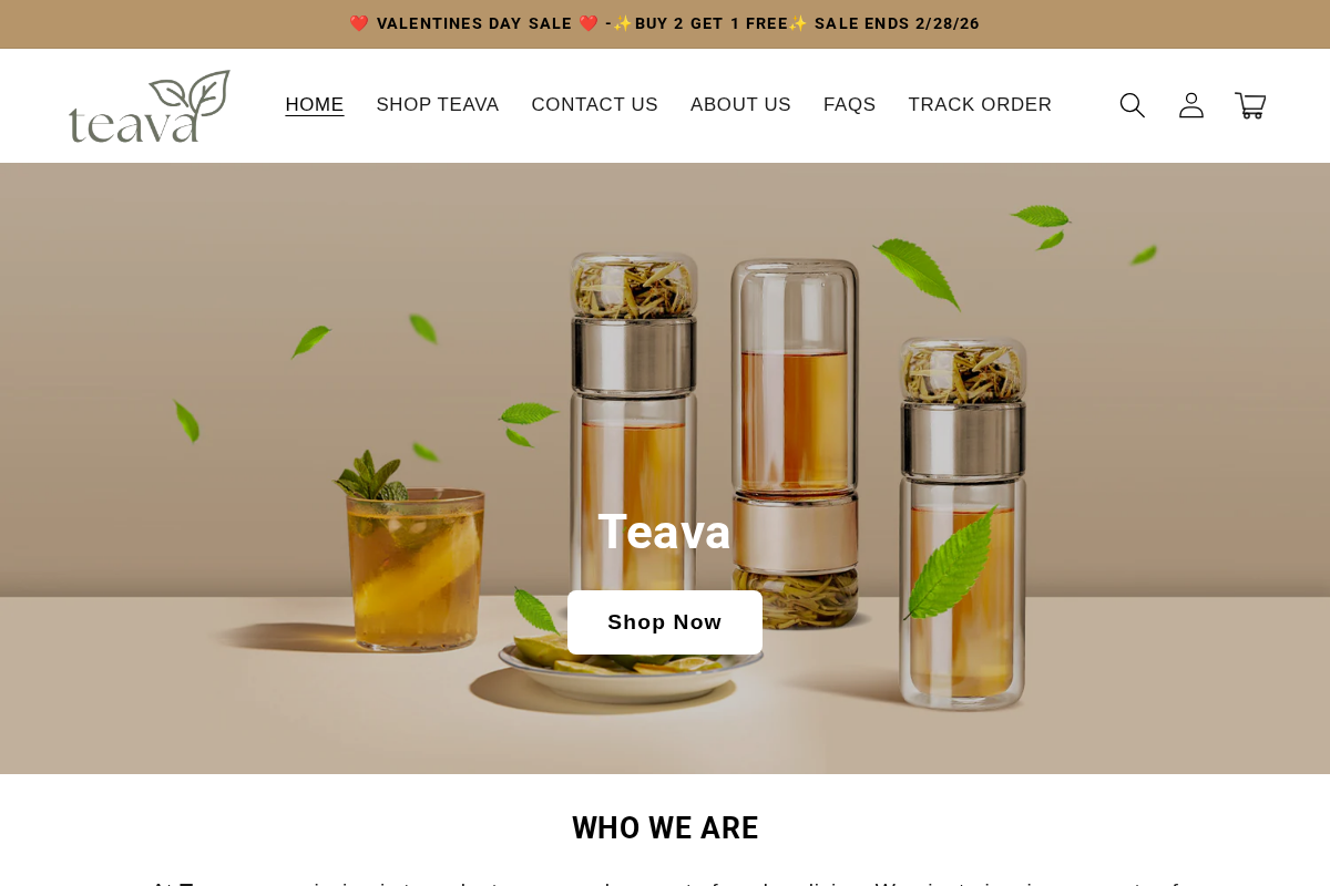 Teava homepage screenshot