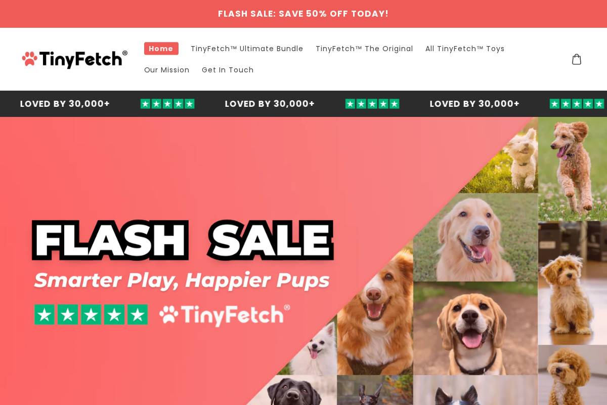 Trytinyfetch homepage screenshot