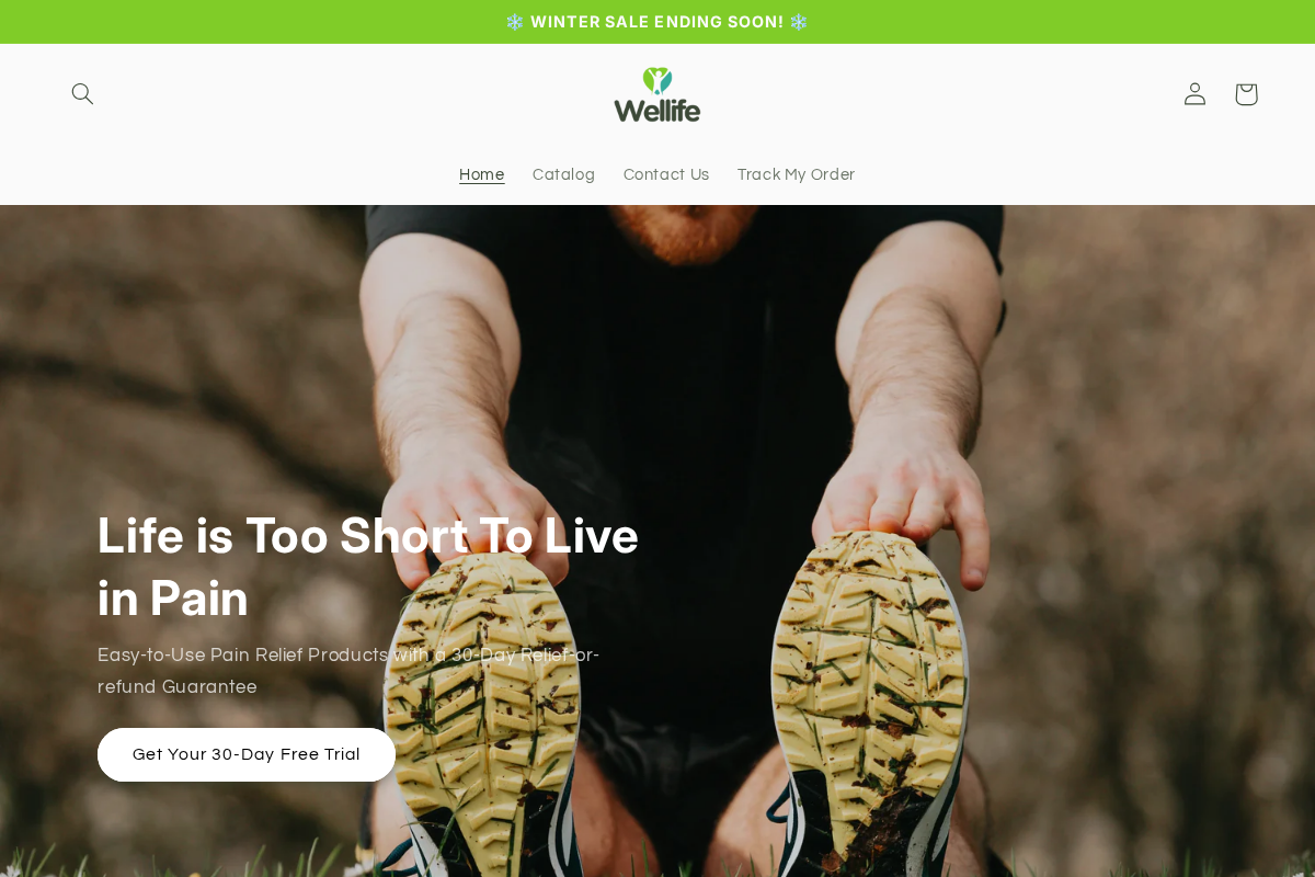 Wellife homepage screenshot