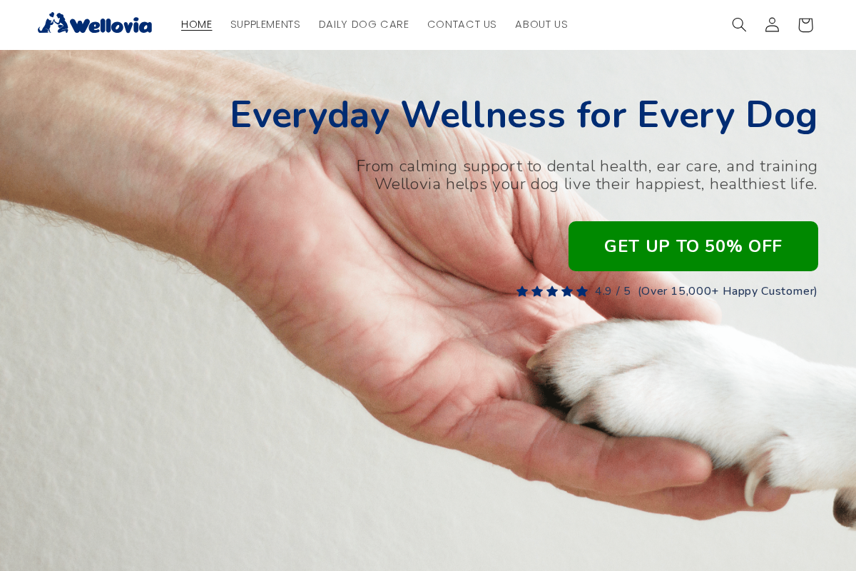 Trywellovia homepage screenshot