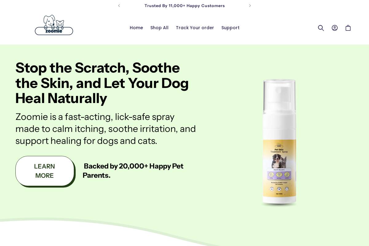 Tryzoomie homepage screenshot