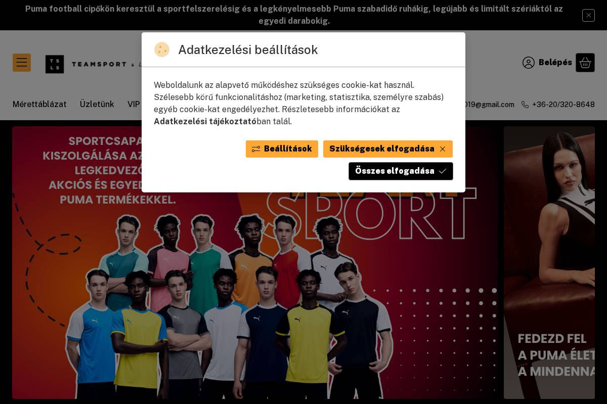 tsls.hu homepage screenshot
