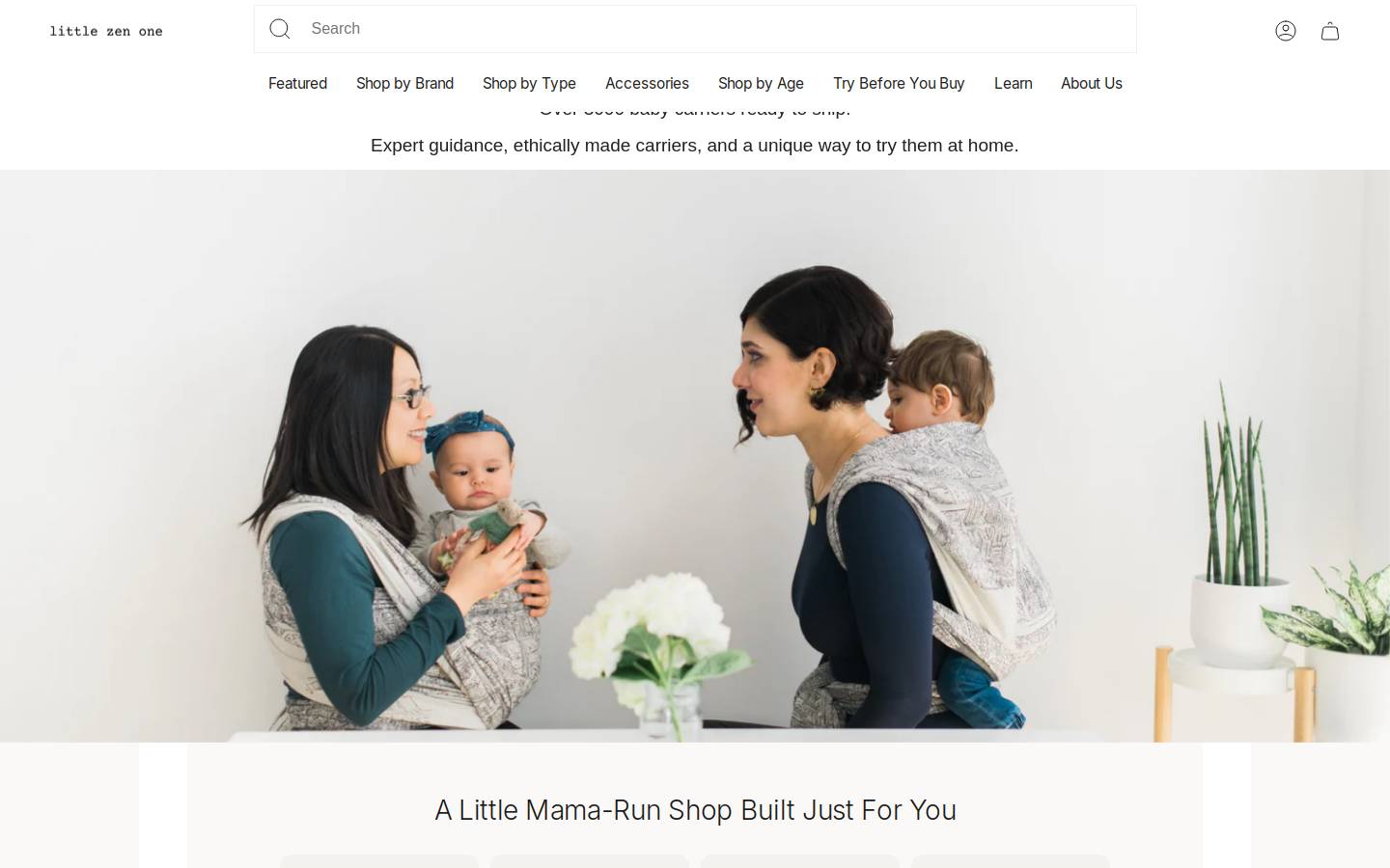 tulacarrier.com homepage screenshot