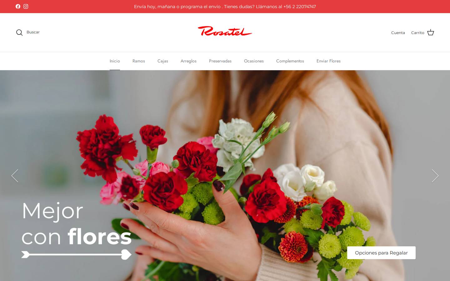 tulipanes.cl homepage screenshot