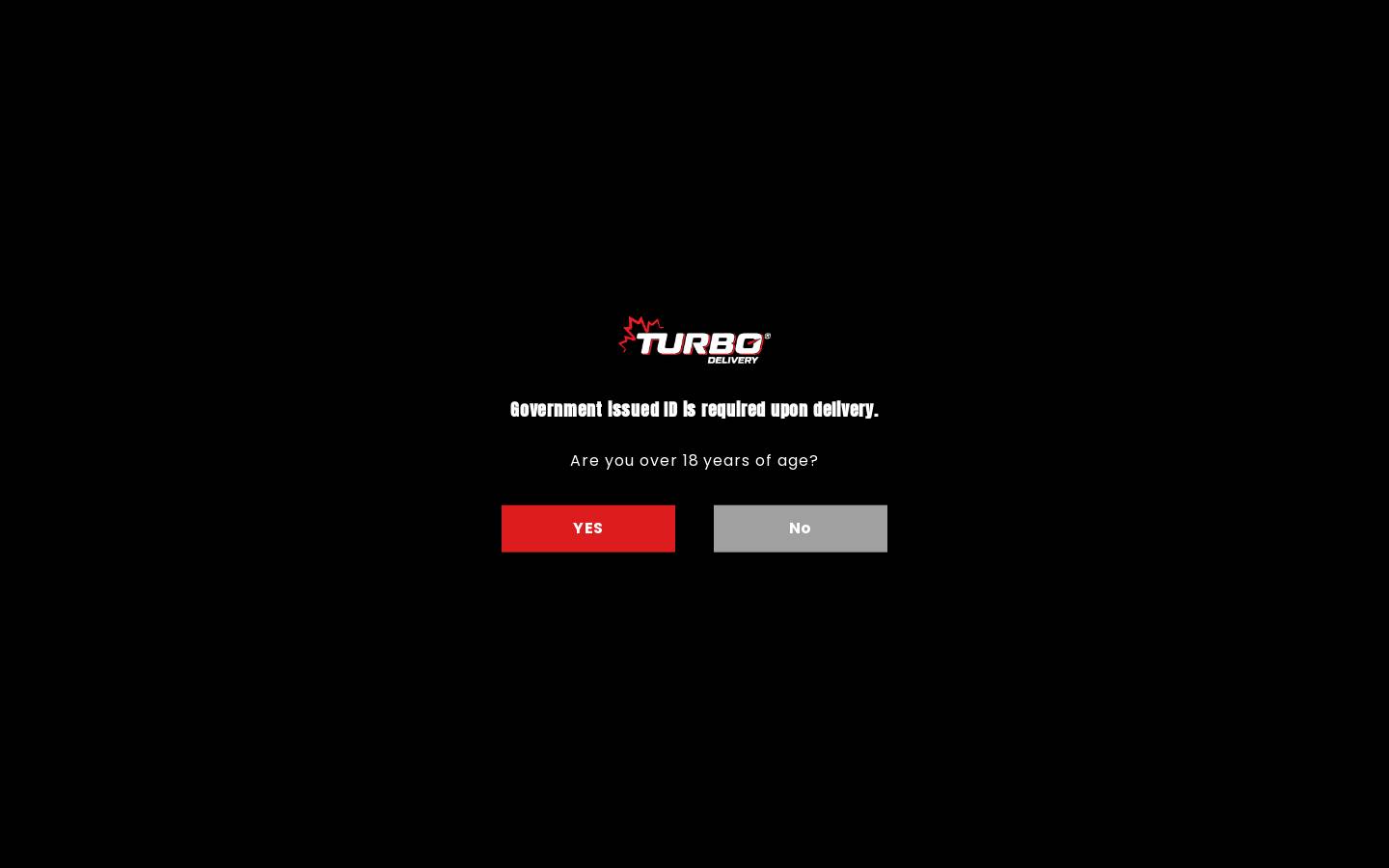 turbo2go.ca homepage screenshot