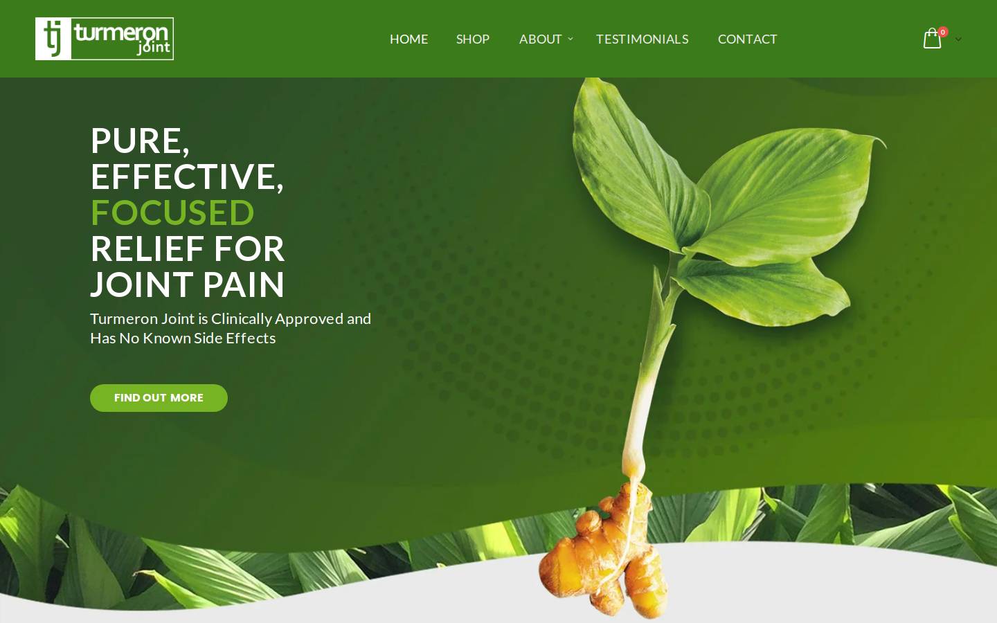 turmeron.com homepage screenshot