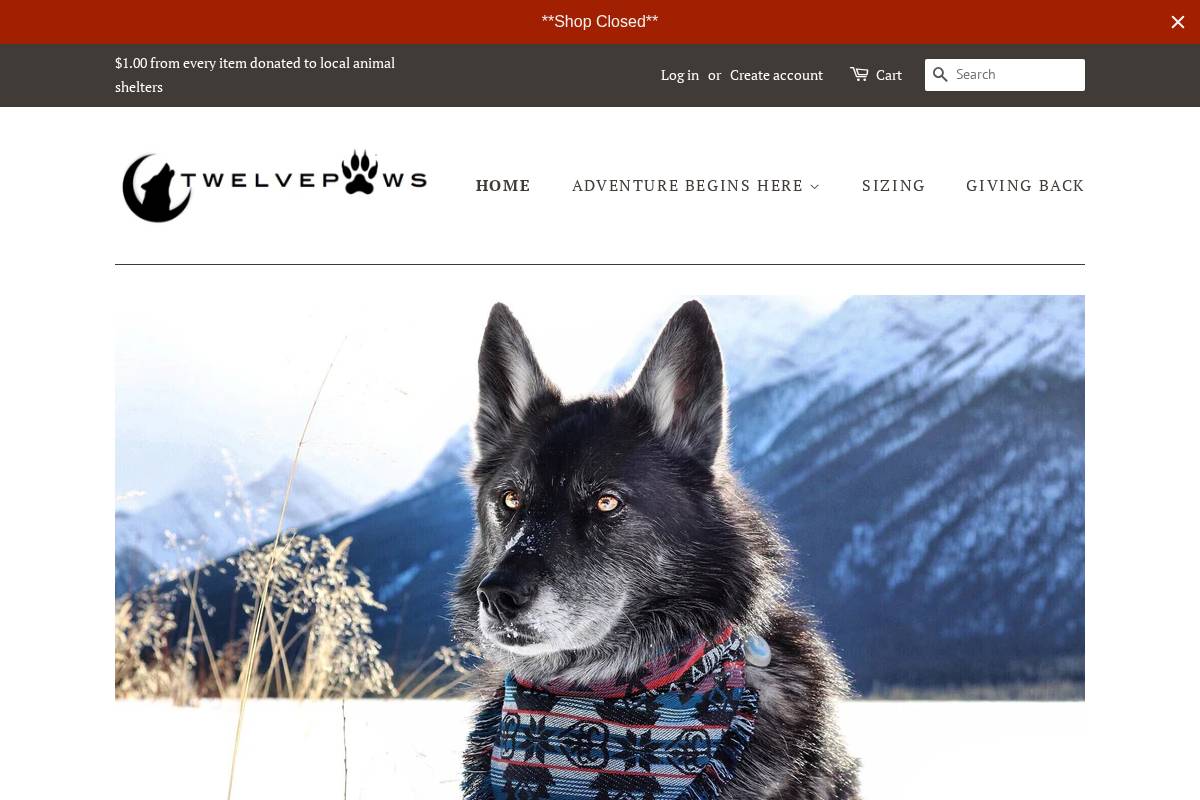 twelvepaws.ca homepage screenshot