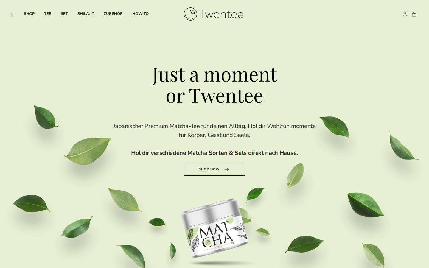 Twentee homepage screenshot