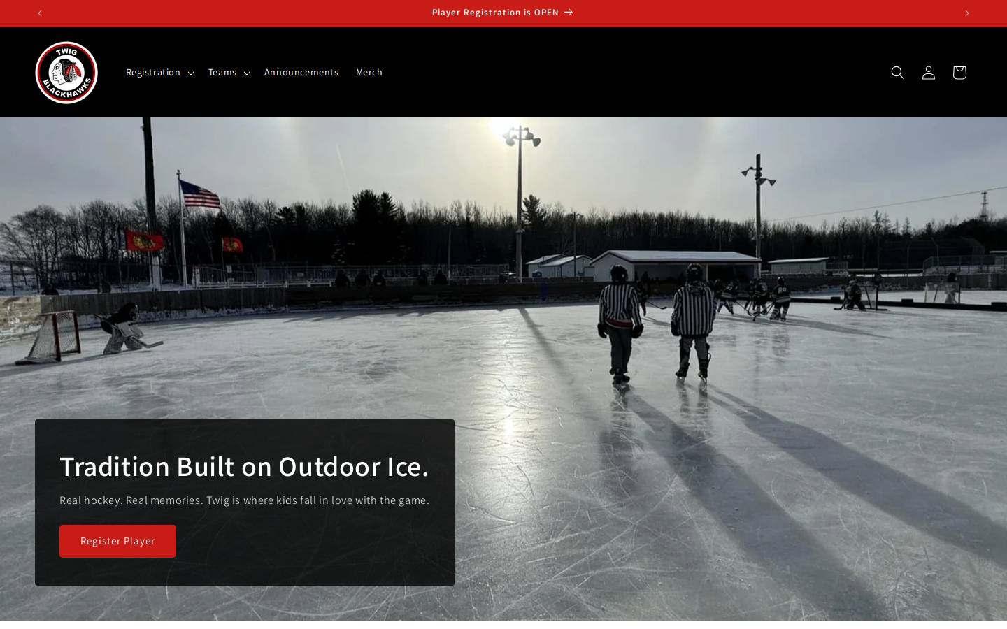 twighockey.org homepage screenshot