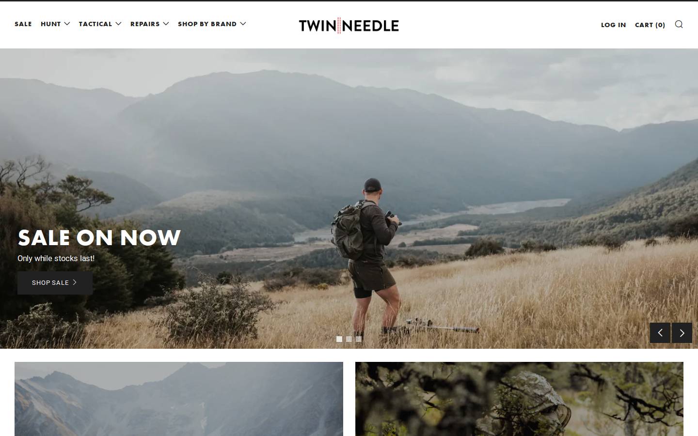 twinneedle.co.nz homepage screenshot