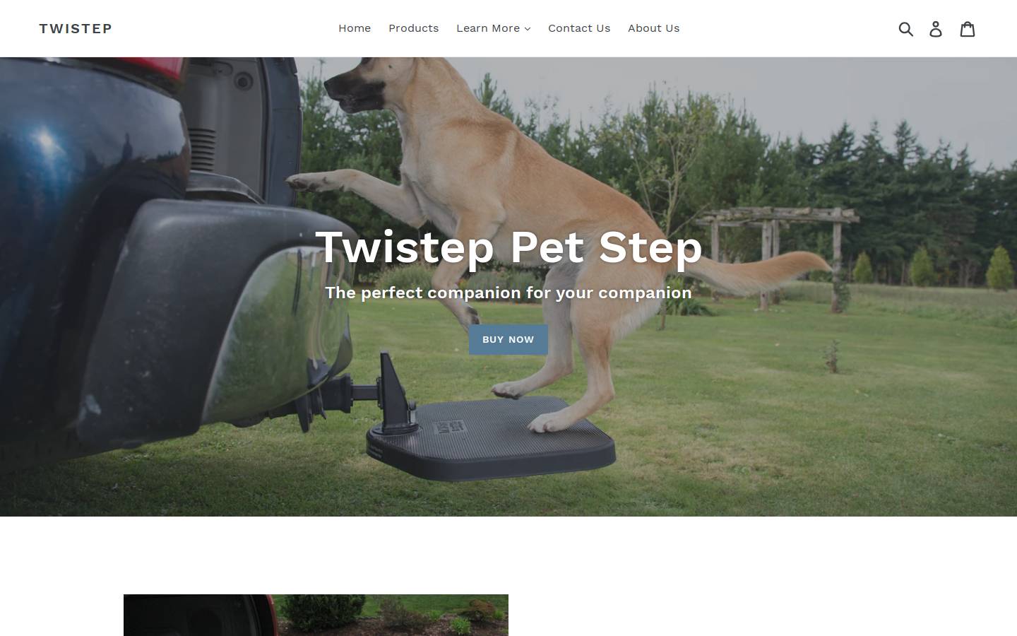 twistep.com homepage screenshot