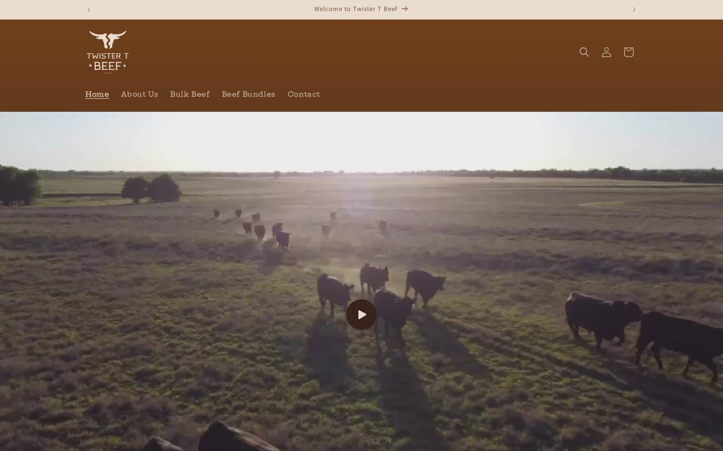 twistertbeef.com homepage screenshot