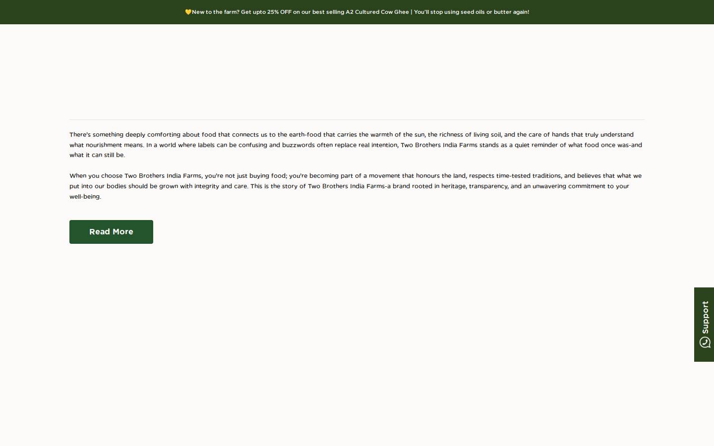 twobrothersfood.com homepage screenshot