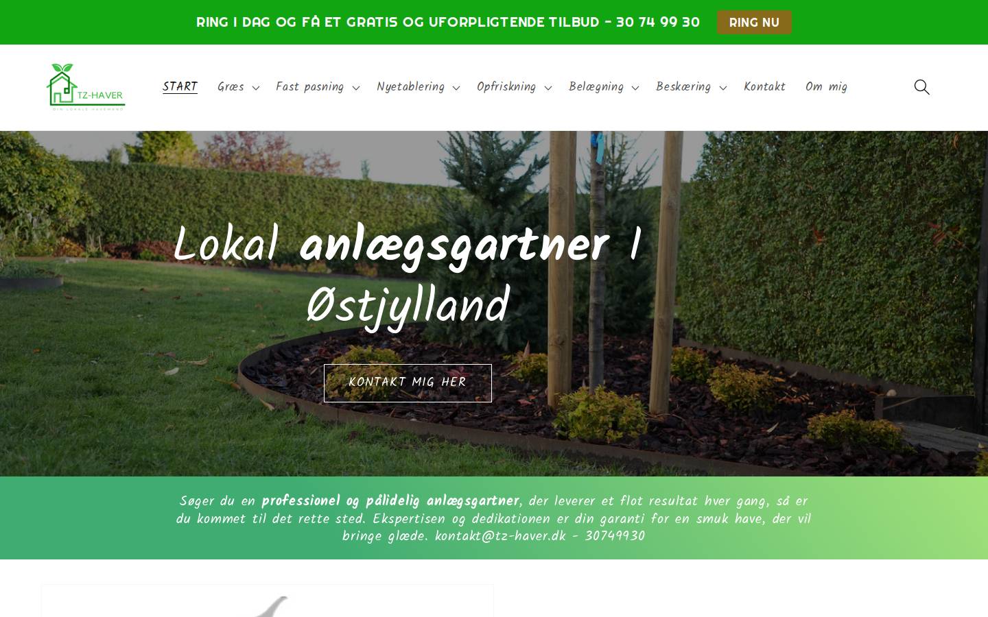 Tz Haver homepage screenshot