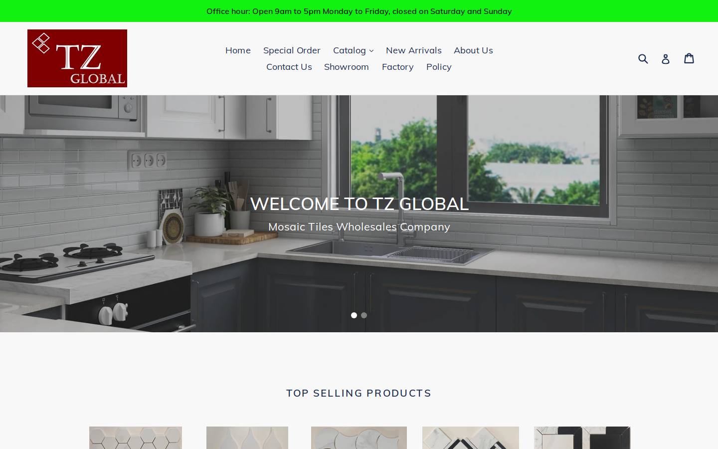 tzglobal.net homepage screenshot