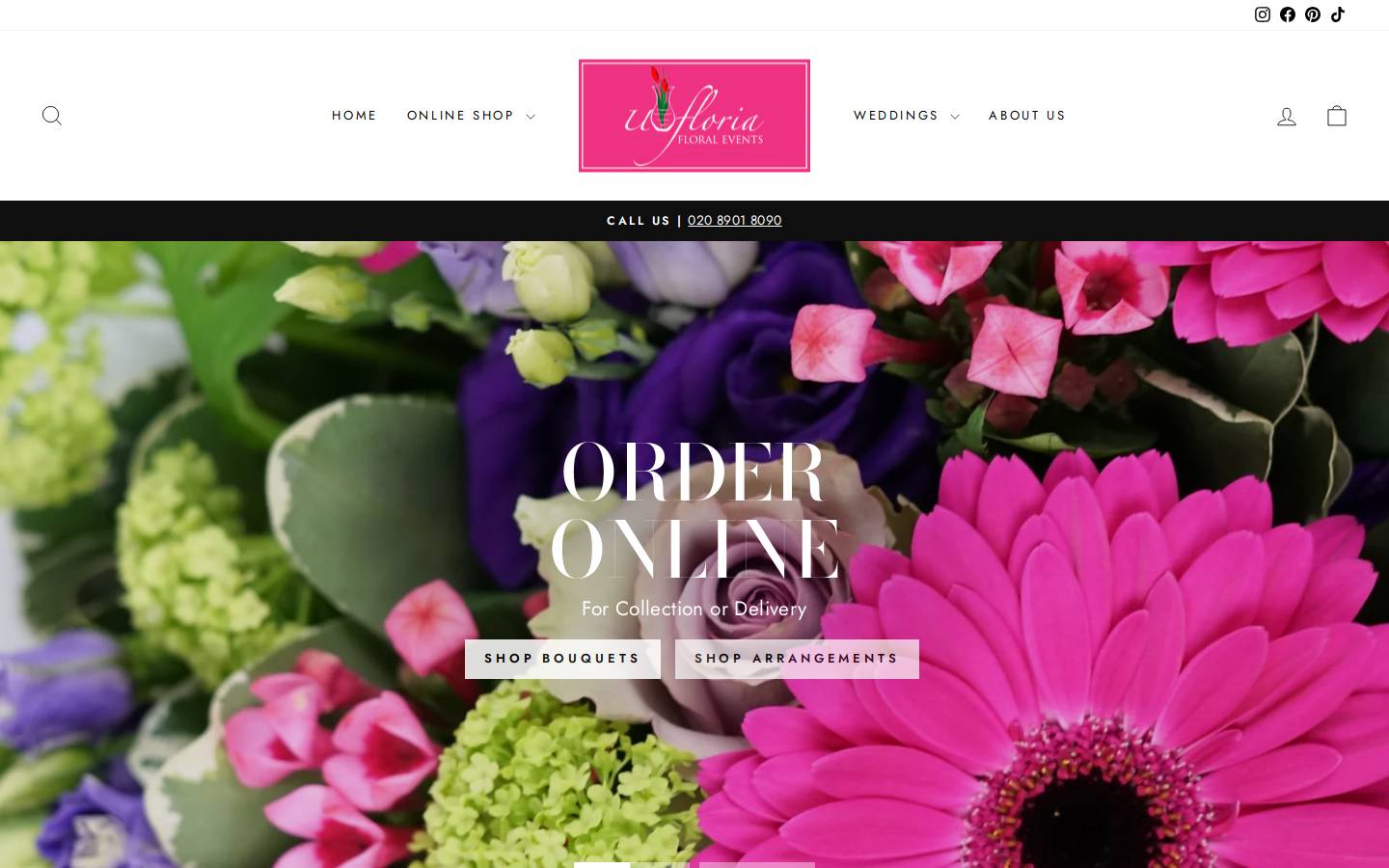 U Floria homepage screenshot
