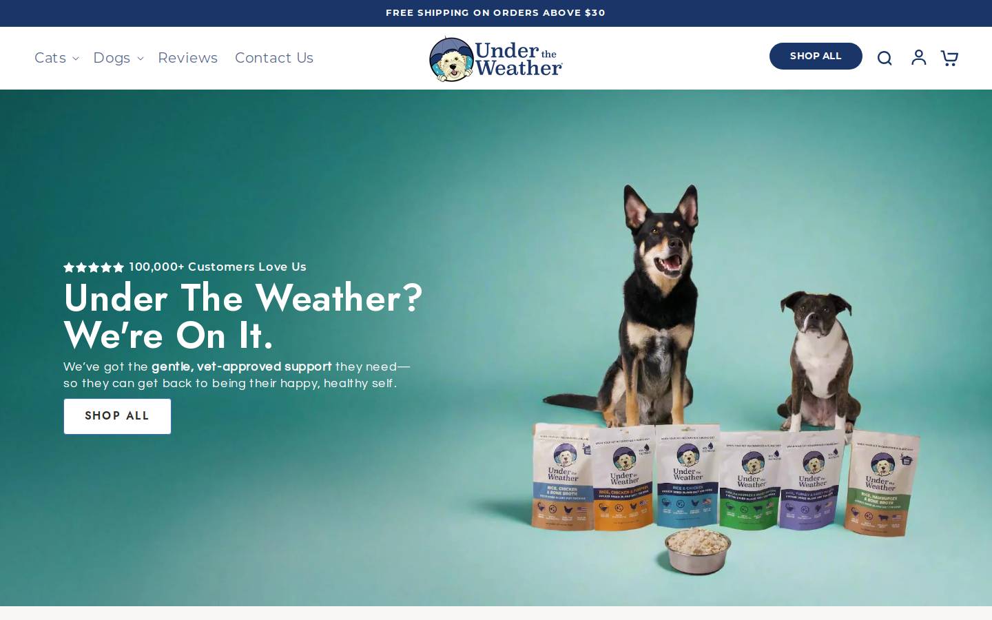undertheweatherpet.com homepage screenshot