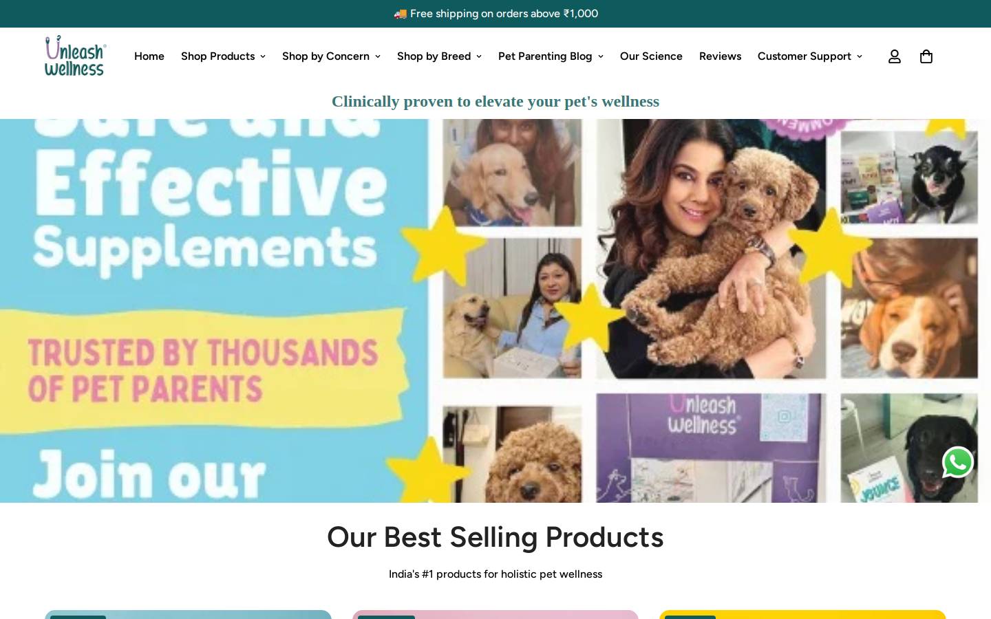 Unleash Wellness homepage screenshot