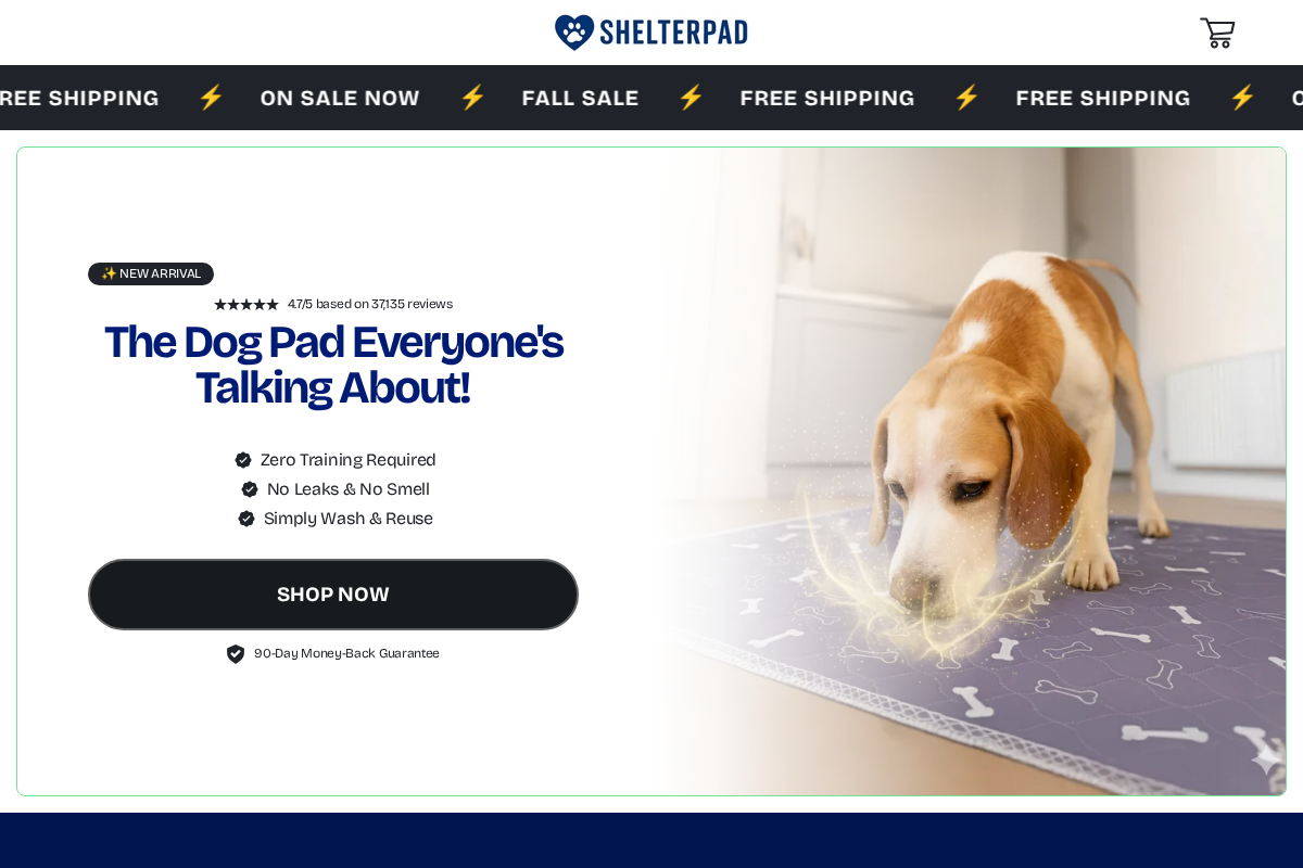 Bloom 2 homepage screenshot