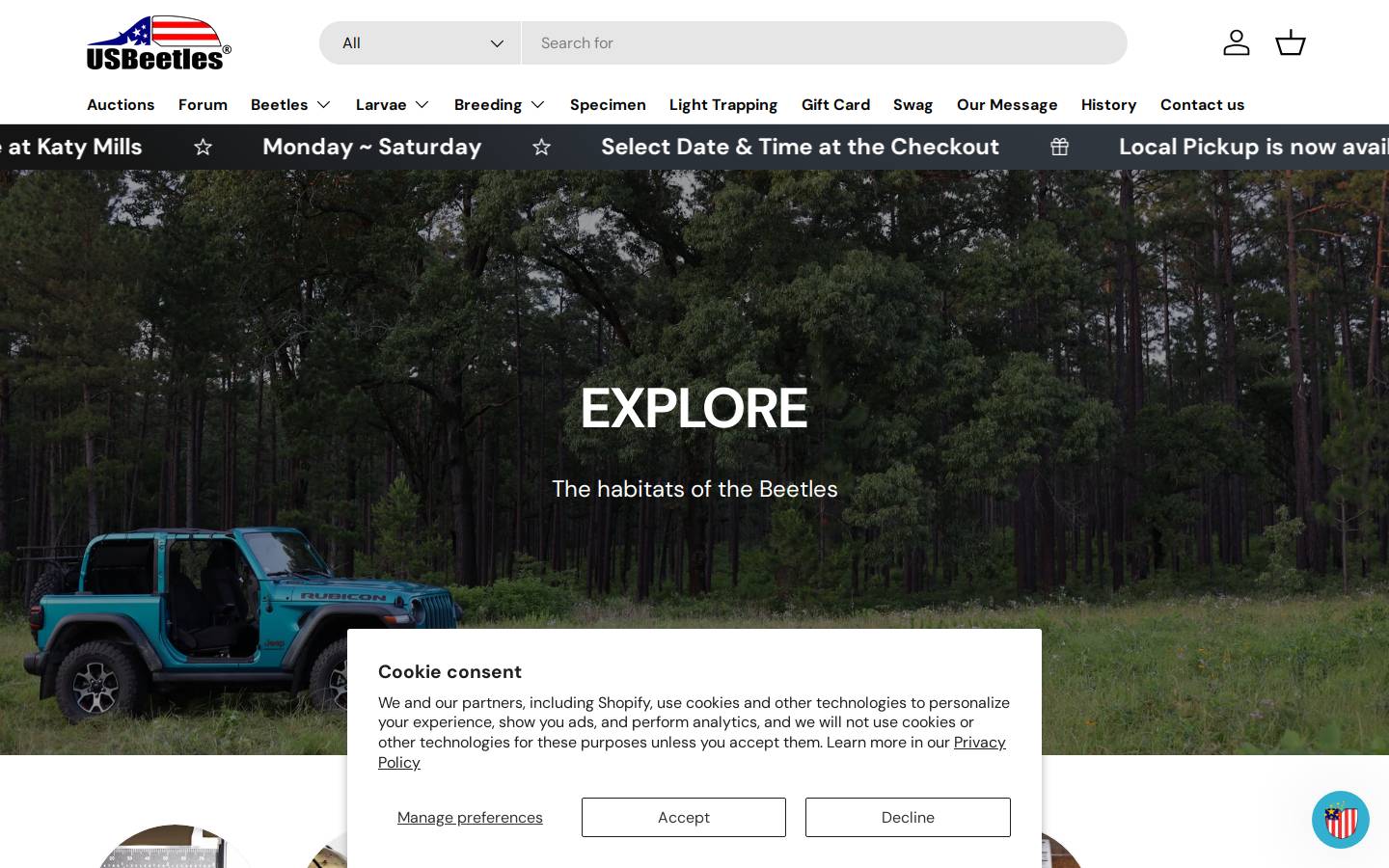 usbeetles.com homepage screenshot