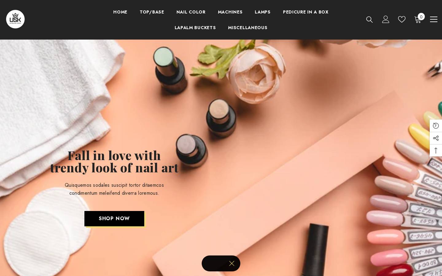 uskingnailsupply.com homepage screenshot