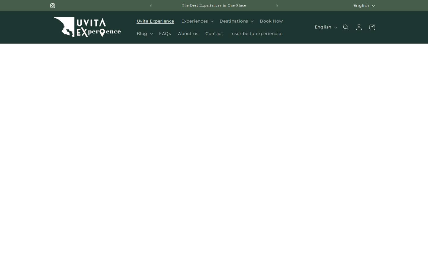 uvitaexperience.com homepage screenshot