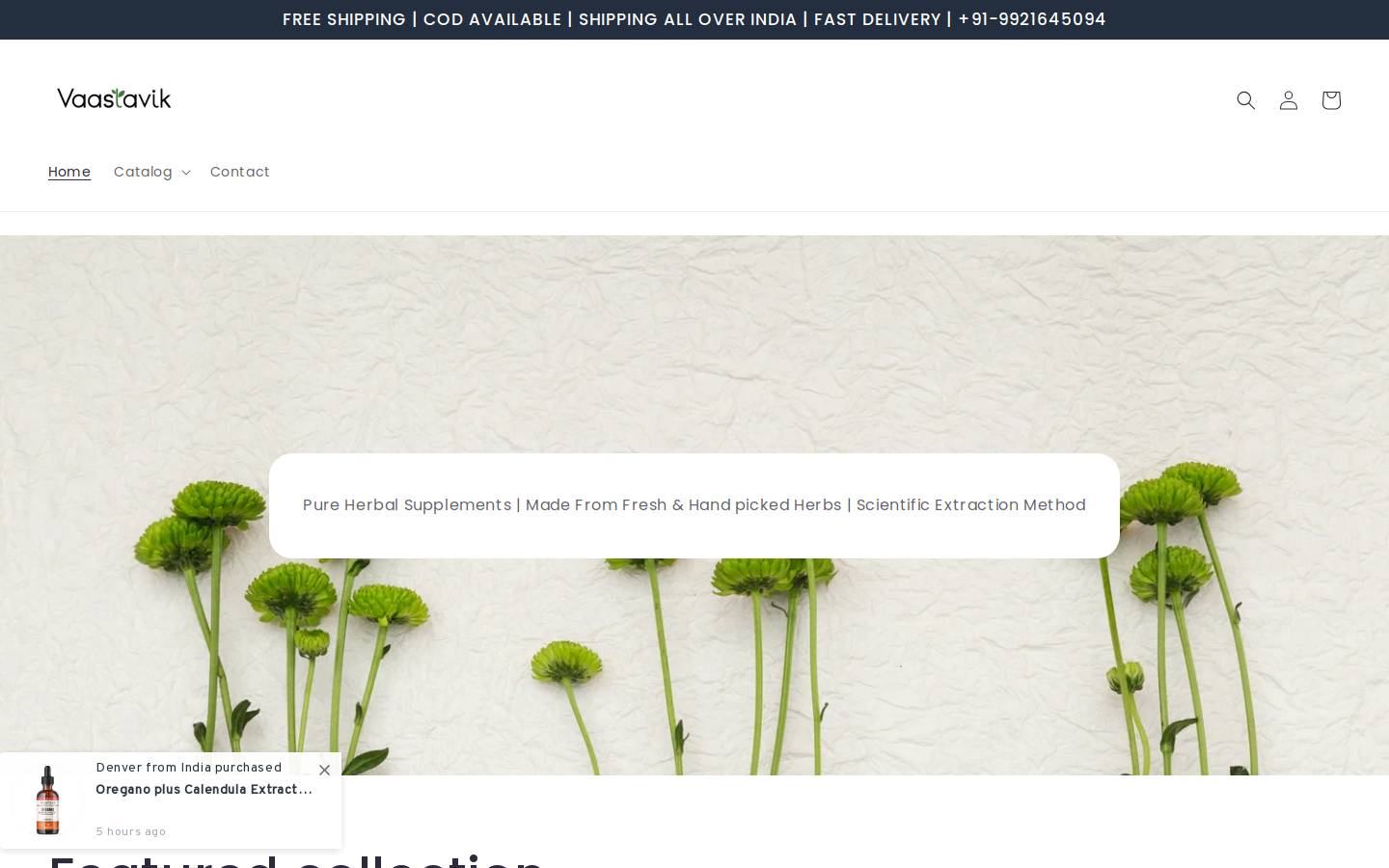 vaastavik.in homepage screenshot