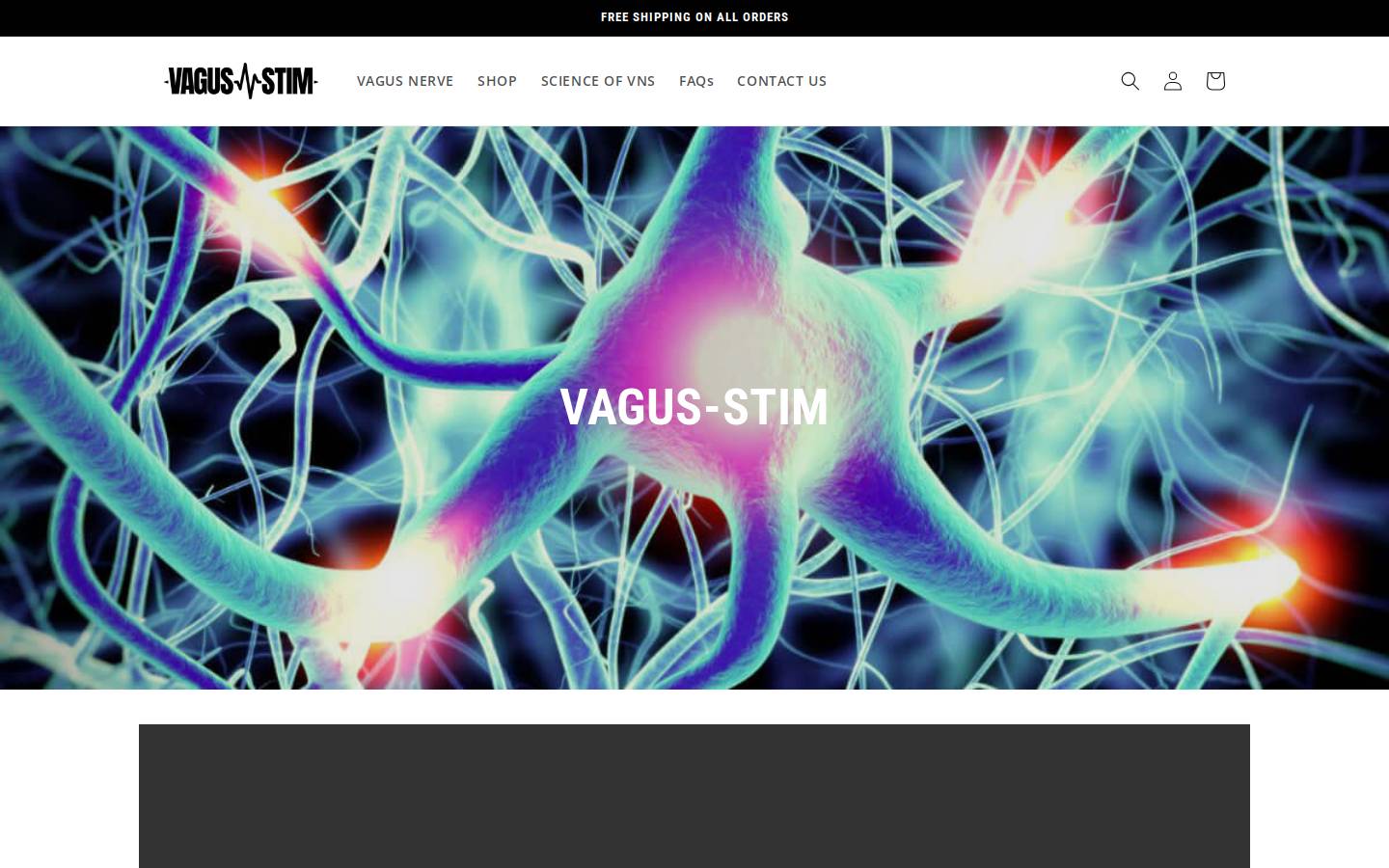 vagus-stim.com homepage screenshot