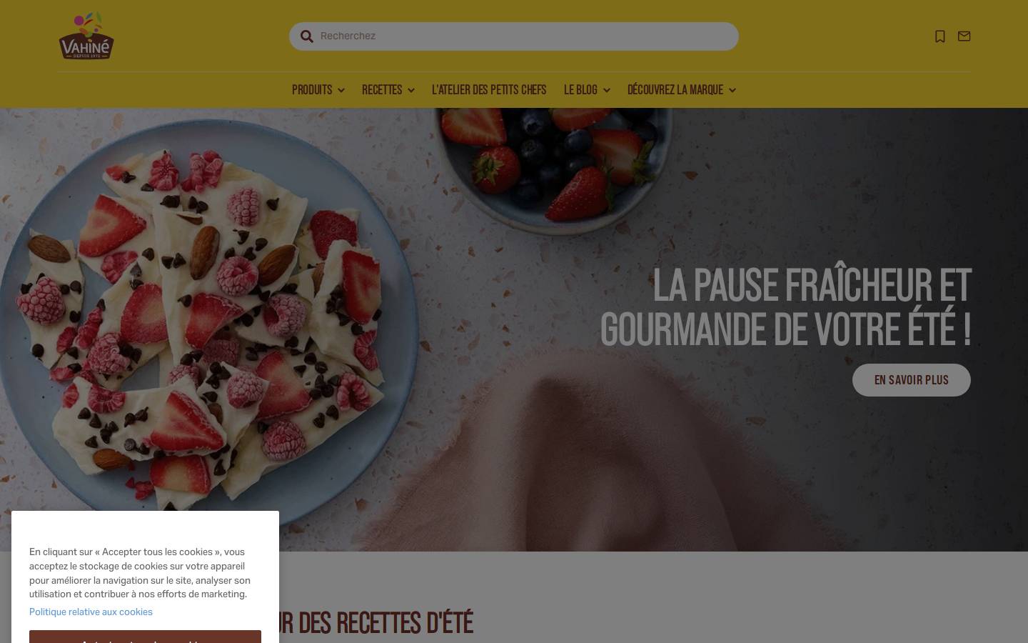 Vahine FR homepage screenshot