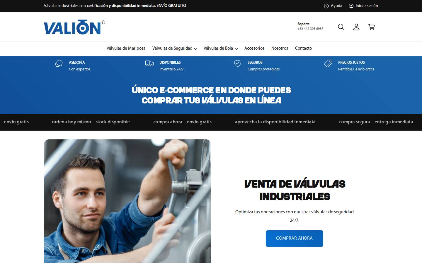 valion.com.mx homepage screenshot