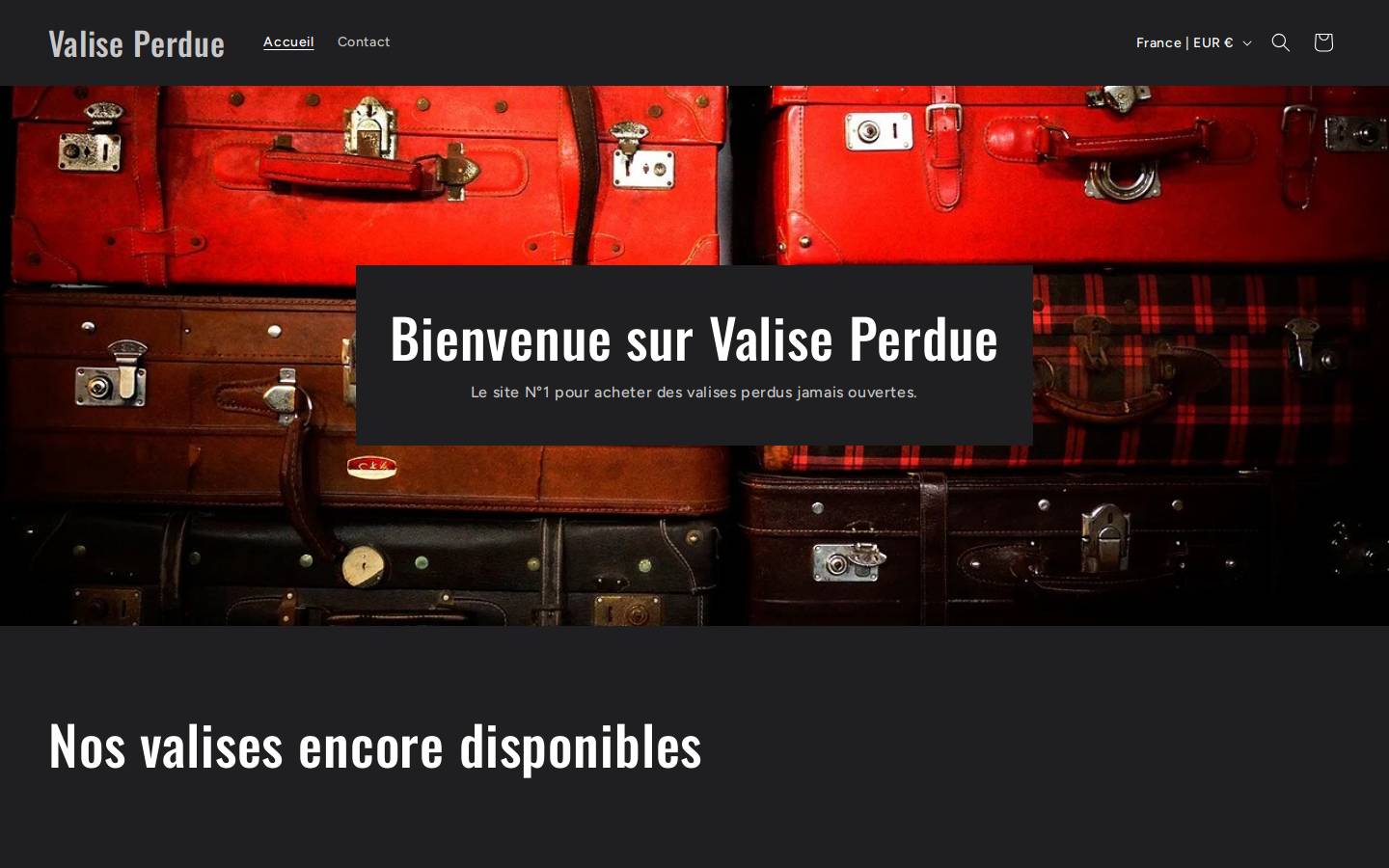 valiseperdue.com homepage screenshot