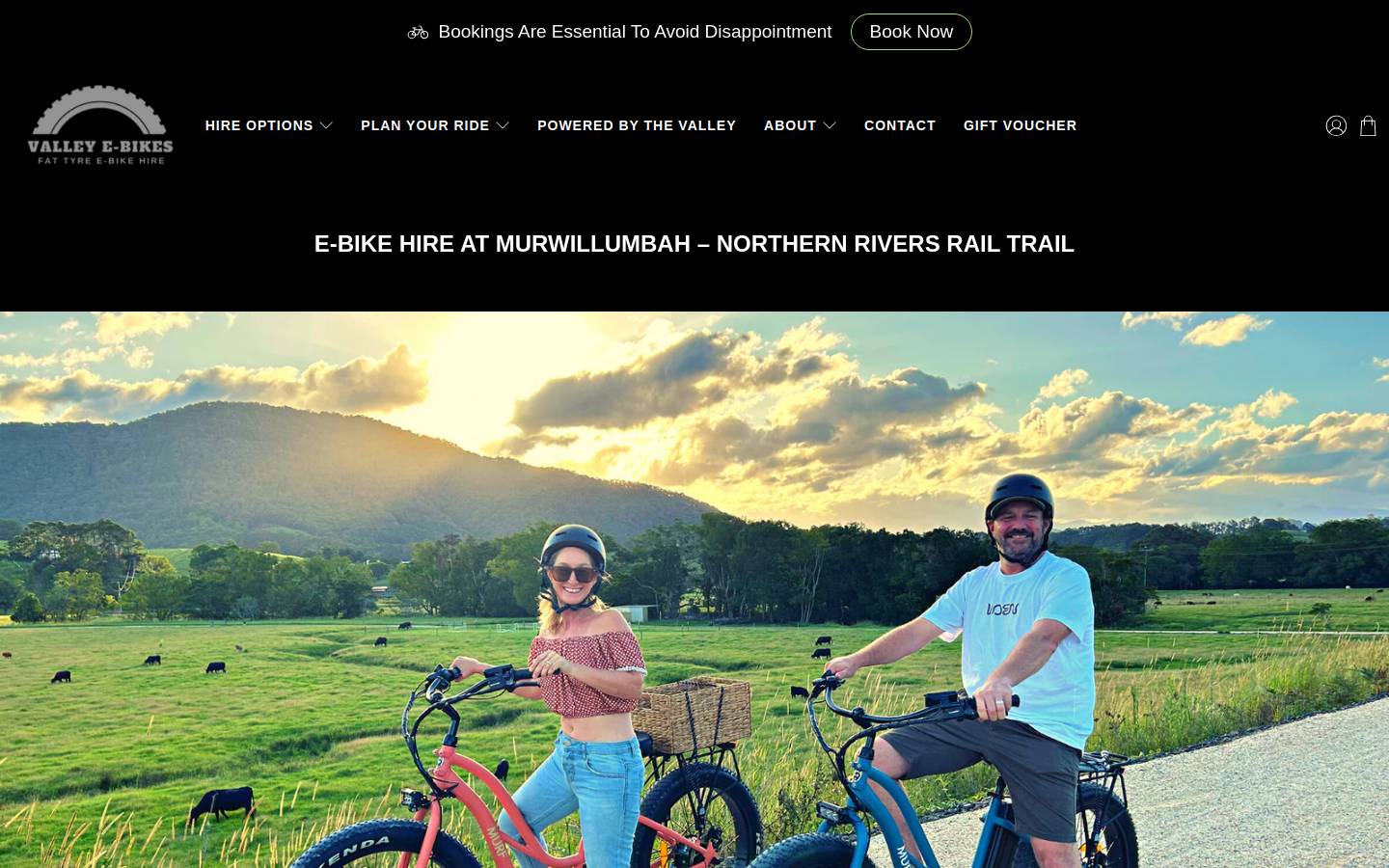 valleyebikes.com homepage screenshot