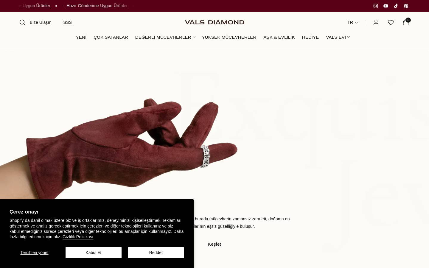 Valsdiamond homepage screenshot