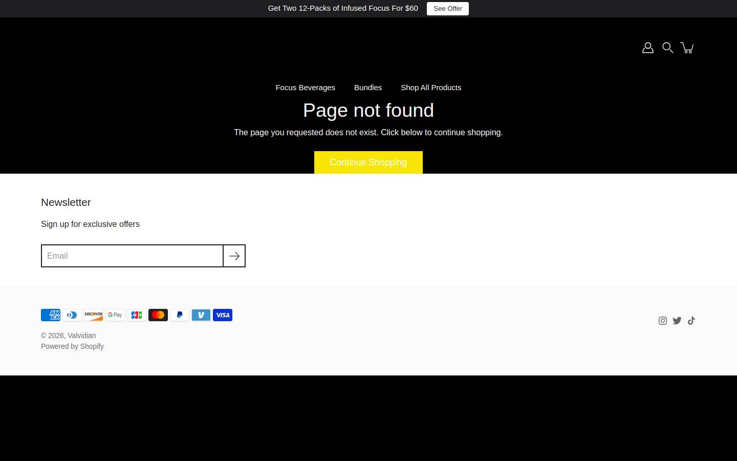 valvidian.com homepage screenshot