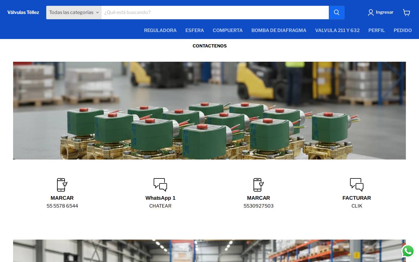 valvulastellez.com homepage screenshot